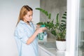 Young woman in blue shirt with spray with water in hands takes care of houseplant in kitchen at home Royalty Free Stock Photo