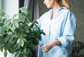 Young woman in blue shirt with spray with water in hands takes care of houseplant at home Royalty Free Stock Photo