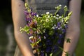 A young woman with a bouquet of wild flowers chamomile, lupine, clover in her hands is standing in a meadow, close-up. Summer, Royalty Free Stock Photo