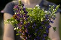 A young woman with a bouquet of wild flowers chamomile, lupine, clover in her hands is standing in a meadow, close-up. Summer, Royalty Free Stock Photo