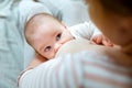 Young woman breast feeding her newborn child baby Royalty Free Stock Photo