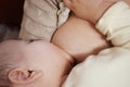 Young woman breastfeeding her baby at home close up Royalty Free Stock Photo