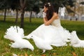 Young woman bride smiling with white pigeons in park autumn outd Royalty Free Stock Photo