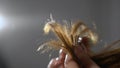 Young woman brushes her hair with a comb. Female is doing and styling her hair.