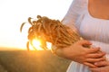 Young woman with bunch of wheat ears in field on sunny day, closeup Royalty Free Stock Photo