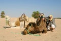 Young woman with camels in Sahara