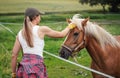 Young woman with cap on her head standing next to horse behind fence, touching the head, view from behinf Royalty Free Stock Photo