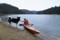 Young woman caress Alaskan Malamute sitting in her kayak