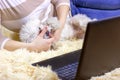Young woman in casual clothing sitting and playing with her dog and using the laptop for talk or work. Home office and freelance Royalty Free Stock Photo