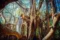 Young woman posing on banyan banjan tree during vocation in india goa