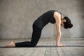 Young woman in Cat pose Royalty Free Stock Photo