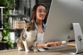 Young woman with cat working on computer, focus on animal. Home office concept