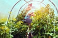 Young woman with child in her arms waters plants in greenhouse.