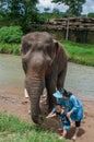 Young woman and child traveler feeds the elephant