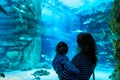 Young woman with child watch a fish in aquarium Royalty Free Stock Photo