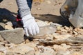 Young woman cleaning beach area from plastic bottles Royalty Free Stock Photo