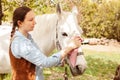 young woman cleans a white horse. Pink rag, microfibre to clean wool. Dirty grooming. Care pet, love, friendship, trust Royalty Free Stock Photo