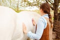 young woman cleans a white horse. Pink rag, microfibre to clean wool. Dirty grooming. Care pet, love, friendship, trust Royalty Free Stock Photo