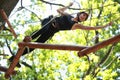 Young woman climbing in adventure rope park Royalty Free Stock Photo