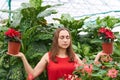 Young woman with closed eyes in a red dress in a greenhouse among lush tropical plants holds a poinsettia flowers in both hands Royalty Free Stock Photo