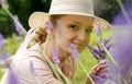 A young woman collects lavender Lavandula angustifolia , which smells beautiful and has a wonderful purple color. Summer time