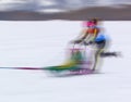 Young woman controls the sled dog competitions