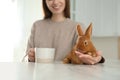 Young woman with cup of coffee and adorable rabbit at table, closeup. Lovely pet