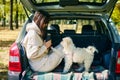 Young woman and cute dog relaxing enjoying happy moment in the forest sitting in car trunk Royalty Free Stock Photo