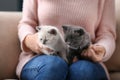 Young woman with cute little kittens at home