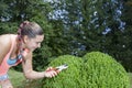 Young woman cutting and pruning the boxwood (buxus sempervirens) Royalty Free Stock Photo