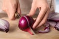 Young woman cutting ripe red onion on wooden board Royalty Free Stock Photo