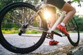 Young Woman Cyclist Riding Road Bicycle on the Free Road in the Forest at Hot Summer Day. Healthy Lifestyle Concept. Royalty Free Stock Photo