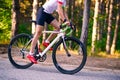 Young Woman Cyclist Riding Road Bicycle on the Free Road in the Forest at Hot Summer Day. Healthy Lifestyle Concept Royalty Free Stock Photo