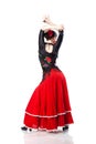 Young woman dancing flamenco from back isolated Royalty Free Stock Photo