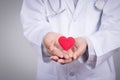 Young woman doctor holding a red heart, standing on gray background Royalty Free Stock Photo