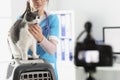 Young woman doctor present grey cat on camera, petting him for video