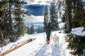 young woman with dog hiking in winter Royalty Free Stock Photo