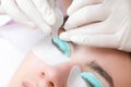 Young woman doing eyelash lamination procedure Royalty Free Stock Photo