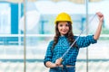 The young woman doing home improvements Royalty Free Stock Photo