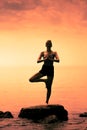 Young Woman doing the Tree Yoga Position During Sunset Royalty Free Stock Photo