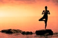 Young Woman doing the Tree Yoga Position During Sunset Royalty Free Stock Photo