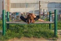 young woman doing turtle yoga pose outdoors