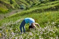 Young woman doing yoga in green summer meadow Royalty Free Stock Photo