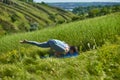 Young woman doing yoga in green summer meadow