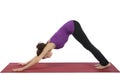 Young woman in Downward Facing Dog Pose Royalty Free Stock Photo