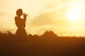 Young woman in dress with bouquet of flowers in hands at sunset in the field. Tinted warm silhouette image Royalty Free Stock Photo