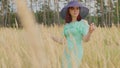 Young woman in dress and hat standing in wheat field. Pretty lady poses, standing in ears of wheat. Royalty Free Stock Photo