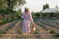 Young woman in a dress and straw hat running in a lavender field with basket Royalty Free Stock Photo