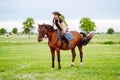 Young woman dressed in riding clothes and hat riding brown horse in green field Royalty Free Stock Photo