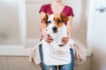 young woman drying her cute small jack russell dog with towel at home Royalty Free Stock Photo